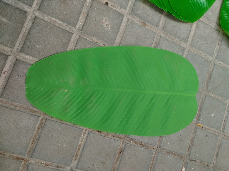 hoja platanero ficticio 46x23 40u